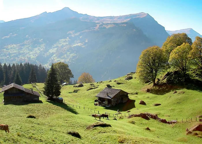 Almisraeba By Interhome Lejlighed *